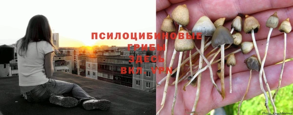 mdma Коряжма