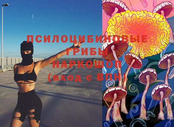 ешки Корсаков