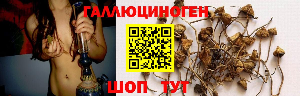 Галлюциногенные грибы ЛСД Сочи